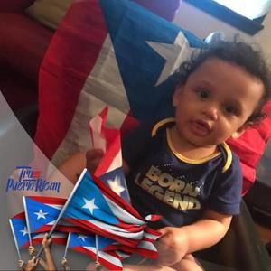 Meet your Posher, Sylvia